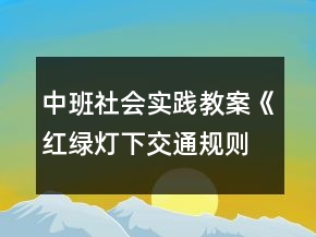 中班社會實踐教案《紅綠燈下交通規(guī)則齊遵守》反思