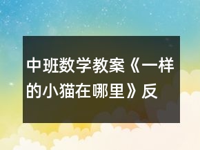 中班數(shù)學(xué)教案《一樣的小貓在哪里》反思