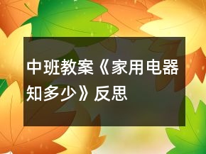 中班教案《家用電器知多少》反思