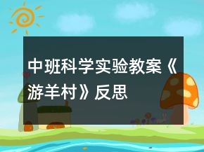 中班科學實驗教案《游羊村》反思