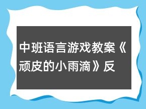 中班語(yǔ)言游戲教案《頑皮的小雨滴》反思