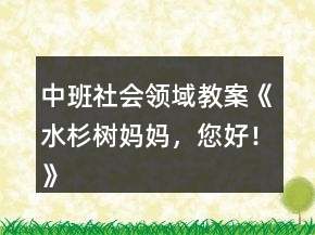 中班社會(huì)領(lǐng)域教案《水杉樹媽媽，您好！》反思