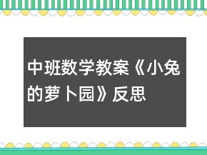 中班數(shù)學(xué)教案《小兔的蘿卜園》反思
