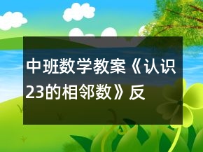 中班數(shù)學(xué)教案《認識2、3的相鄰數(shù)》反思