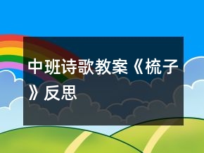 中班詩歌教案《梳子》反思