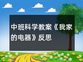 中班科學(xué)教案《我家的電器》反思