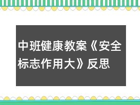 中班健康教案《安全標(biāo)志作用大》反思