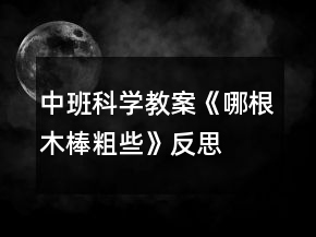 中班科學(xué)教案《哪根木棒粗些》反思