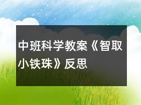 中班科學教案《智取小鐵珠》反思