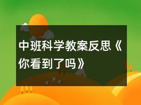 中班科學(xué)教案反思《你看到了嗎》