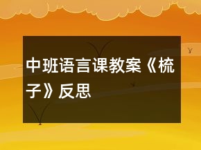 中班語(yǔ)言課教案《梳子》反思