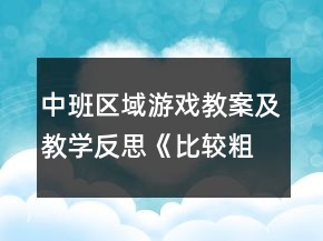 中班區(qū)域游戲教案及教學(xué)反思《比較粗和細(xì)》