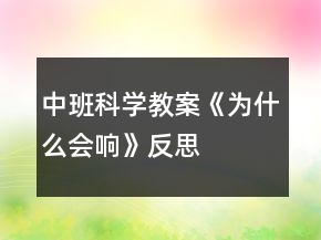 中班科學(xué)教案《為什么會(huì)響》反思