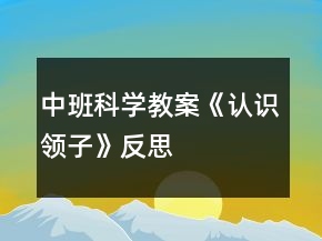 中班科學(xué)教案《認(rèn)識(shí)領(lǐng)子》反思
