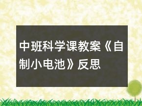 中班科學(xué)課教案《自制小電池》反思