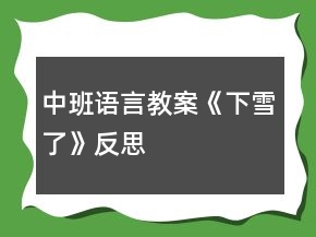 中班語言教案《下雪了》反思