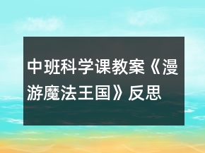 中班科學(xué)課教案《漫游魔法王國(guó)》反思