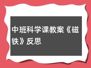 中班科學課教案《磁鐵》反思