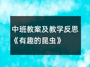 中班教案及教學(xué)反思《有趣的昆蟲》