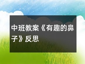 中班教案《有趣的鼻子》反思