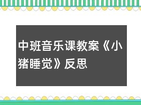 中班音樂課教案《小豬睡覺》反思