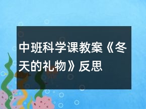 中班科學課教案《冬天的禮物》反思