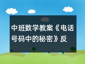 中班數(shù)學(xué)教案《電話號碼中的秘密》反思