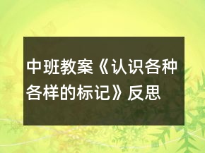 中班教案《認(rèn)識(shí)各種各樣的標(biāo)記》反思