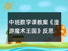 中班數(shù)學(xué)課教案《漫游魔術(shù)王國》反思
