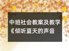 中班社會(huì)教案及教學(xué)《傾聽夏天的聲音》反思