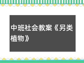 中班社會教案《另類植物》