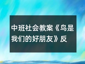 中班社會教案《鳥是我們的好朋友》反思