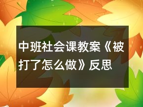 中班社會(huì)課教案《被打了怎么做》反思