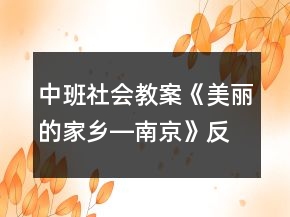 中班社會(huì)教案《美麗的家鄉(xiāng)―南京》反思