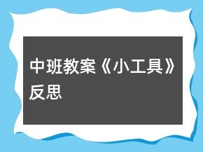 中班教案《小工具》反思