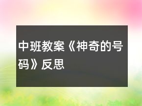 中班教案《神奇的號碼》反思