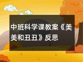 中班科學(xué)課教案《美美和丑丑》反思