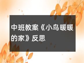 中班教案《小鳥(niǎo)暖暖的家》反思