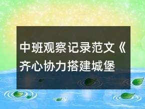 中班觀察記錄范文《齊心協(xié)力搭建城堡》反思