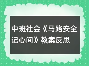 中班社會(huì)《馬路安全記心間》教案反思