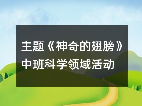 主題《神奇的翅膀》中班科學(xué)領(lǐng)域活動(dòng)：飛機(jī)反思