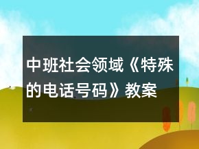 中班社會領(lǐng)域《特殊的電話號碼》教案反思