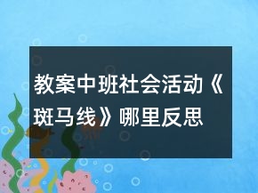 教案中班社會活動《斑馬線》哪里反思
