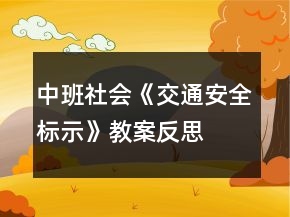 中班社會(huì)《交通安全標(biāo)示》教案反思