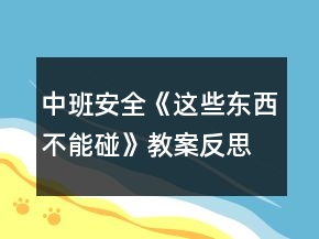中班安全《這些東西不能碰》教案反思