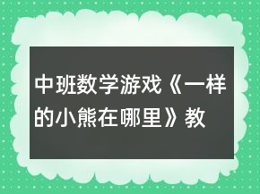 中班數(shù)學(xué)游戲《一樣的小熊在哪里》教案反思