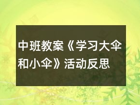中班教案《學習大傘和小傘》活動反思