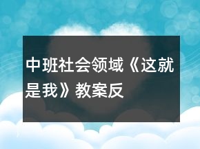 中班社會領(lǐng)域《這就是“我”》教案反思
