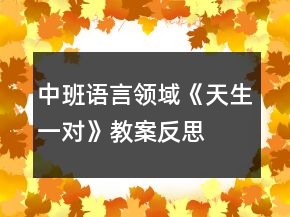 中班語(yǔ)言領(lǐng)域《天生一對(duì)》教案反思
