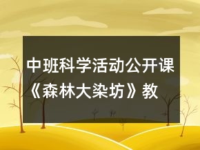 中班科學(xué)活動(dòng)公開課《森林大染坊》教案及教學(xué)反思